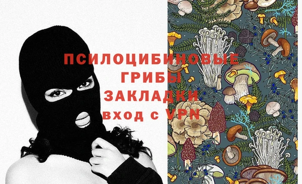 стафф Балабаново