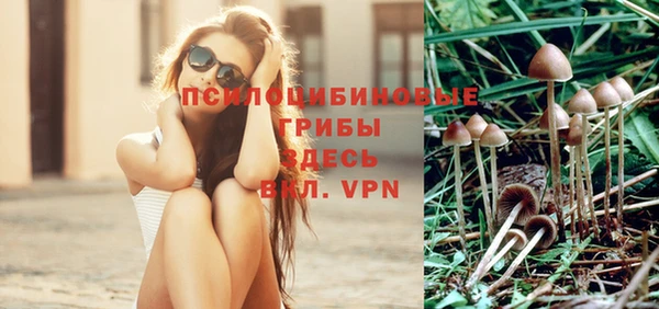 гашик Киреевск