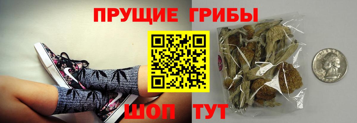 Псилоцибиновые грибы мицелий  Вход с VPN  Горячий Ключ 